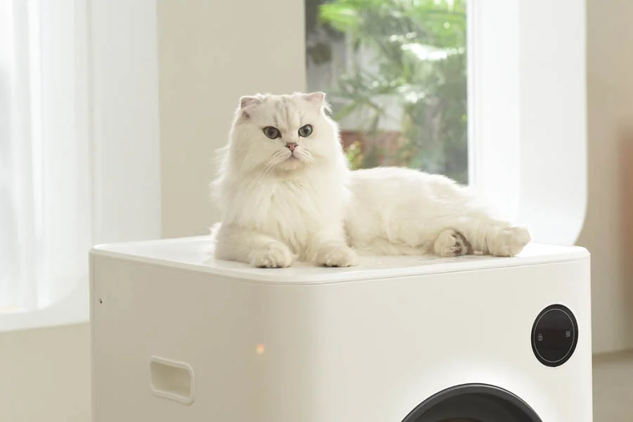 electric cat box